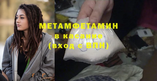 индика Новокубанск
