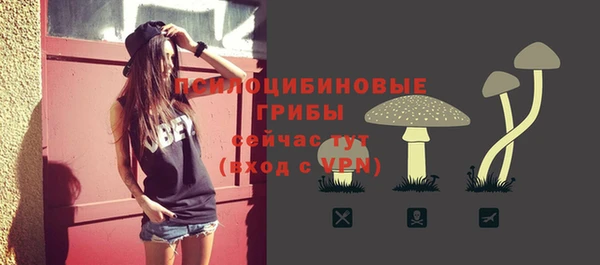 мет Абаза