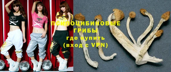 индика Новокубанск