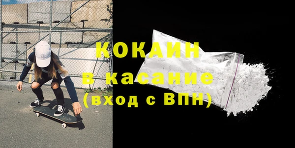 индика Новокубанск